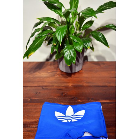 adidas Originals - Swim Pants Boys  2