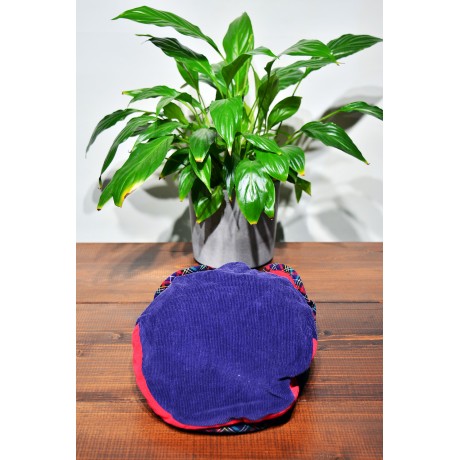 Insight - Shelby Flat Cap